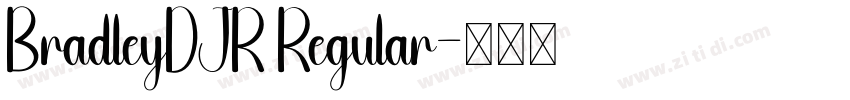 BradleyDJR Regular字体转换